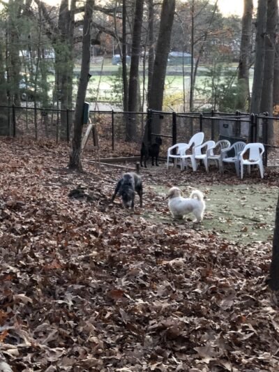 Mount Nebo Park - Manchester, CT