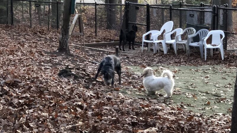 Mount Nebo Park - Manchester, CT