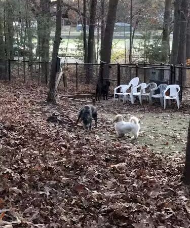 Mount Nebo Park - Manchester, CT