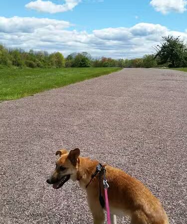 Wickham Park - Manchester, CT