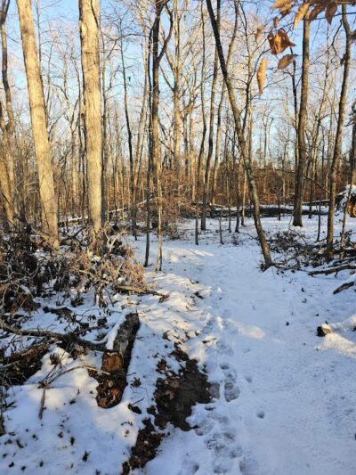 Chumbley Woods Trail - Manchester, TN