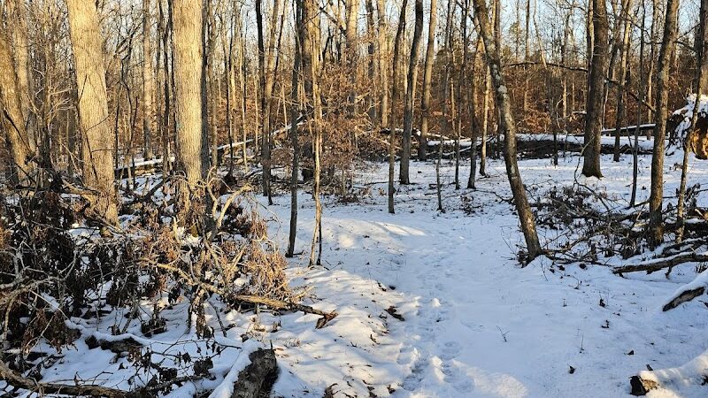 Chumbley Woods Trail - Manchester, TN