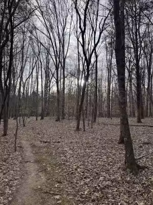 Chumbley Woods Trail - Manchester, TN