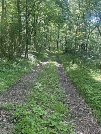 Chumbley Woods Trail - Manchester, TN