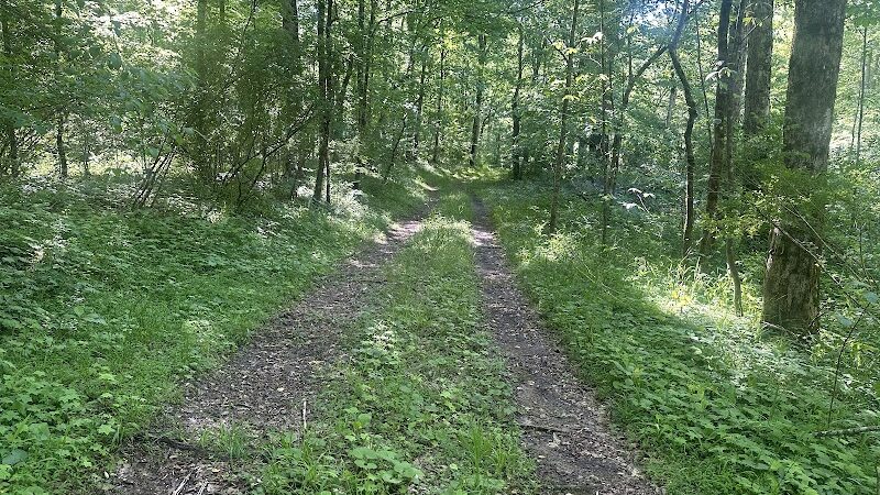 Chumbley Woods Trail - Manchester, TN