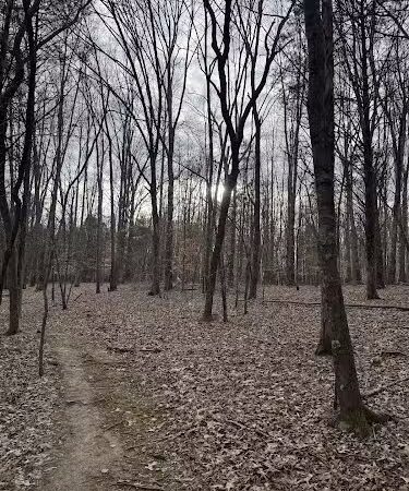 Chumbley Woods Trail - Manchester, TN