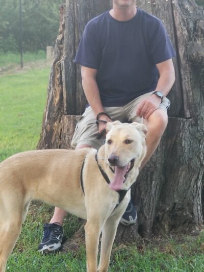 Dave King Park - Manchester, TN