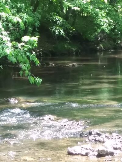 Dave King Park - Manchester, TN