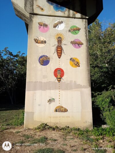 Dave King Park - Manchester, TN