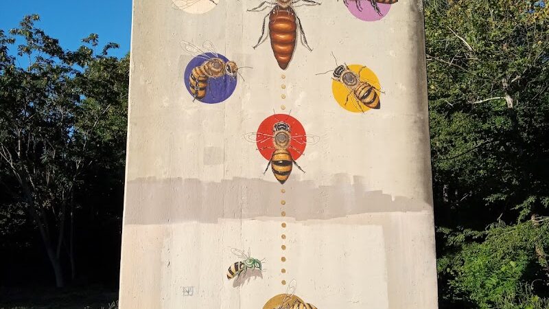 Dave King Park - Manchester, TN