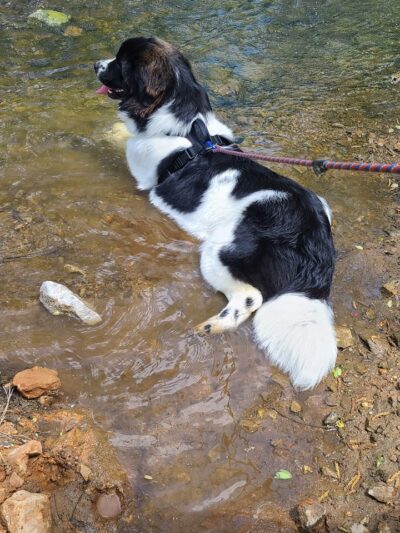 Dave King Park - Manchester, TN