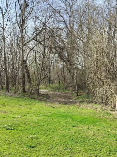 Dave King Park - Manchester, TN