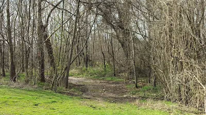 Dave King Park - Manchester, TN