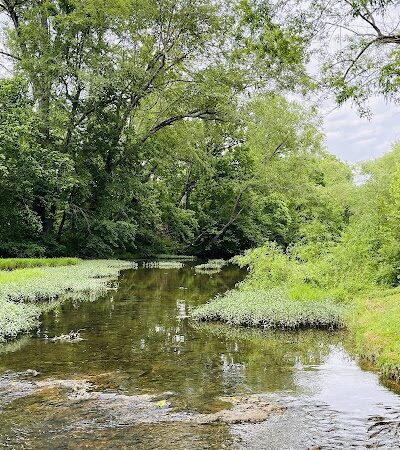 Fred Deadman Park - Manchester, TN