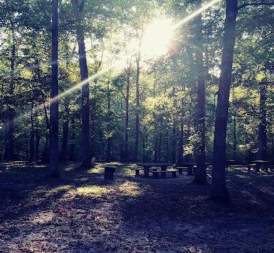 Old Stone Fort State Park playground & picnic area - Manchester, TN