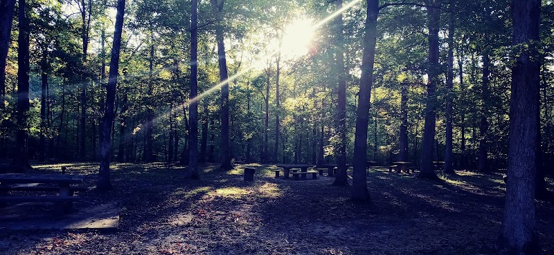 Old Stone Fort State Park playground & picnic area - Manchester, TN