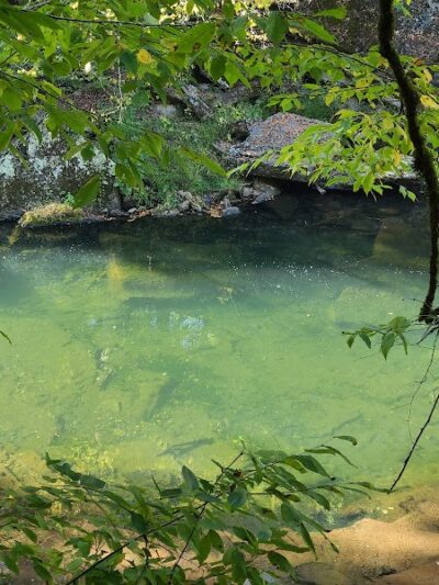 Old Stone Fort State Park playground & picnic area - Manchester, TN