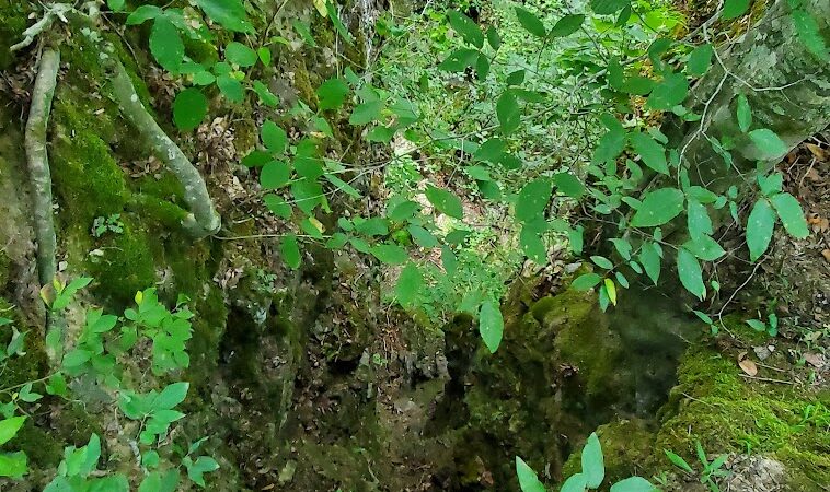 Old Stone Fort State Park playground & picnic area - Manchester, TN