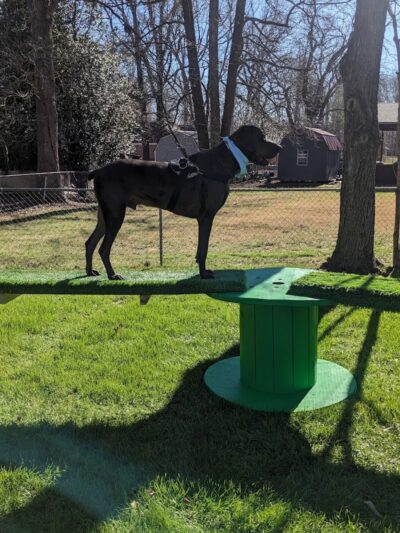 Oreo's Bark Park - Manchester, TN
