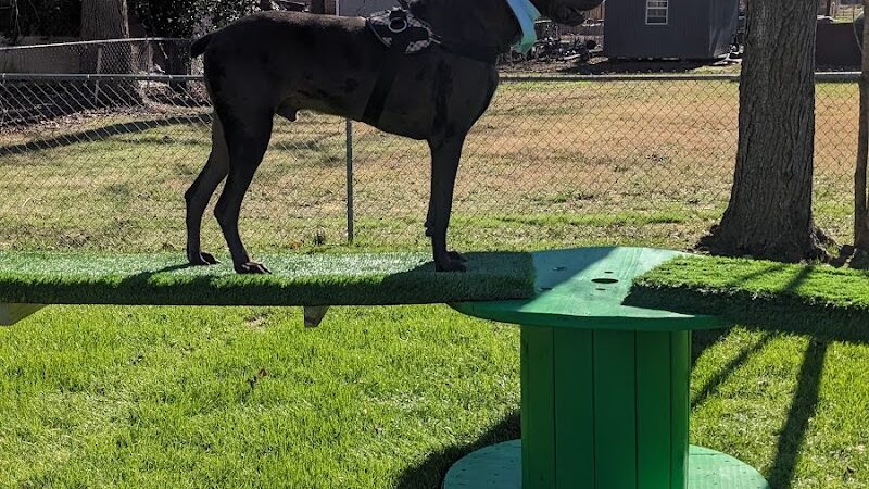 Oreo's Bark Park - Manchester, TN