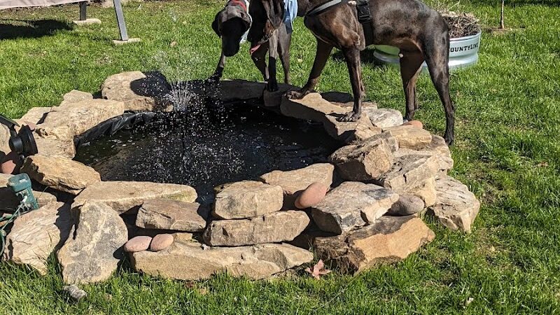 Oreo's Bark Park - Manchester, TN