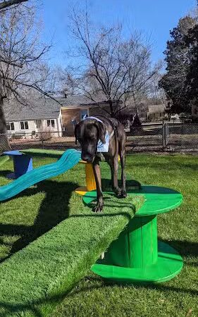 Oreo's Bark Park - Manchester, TN
