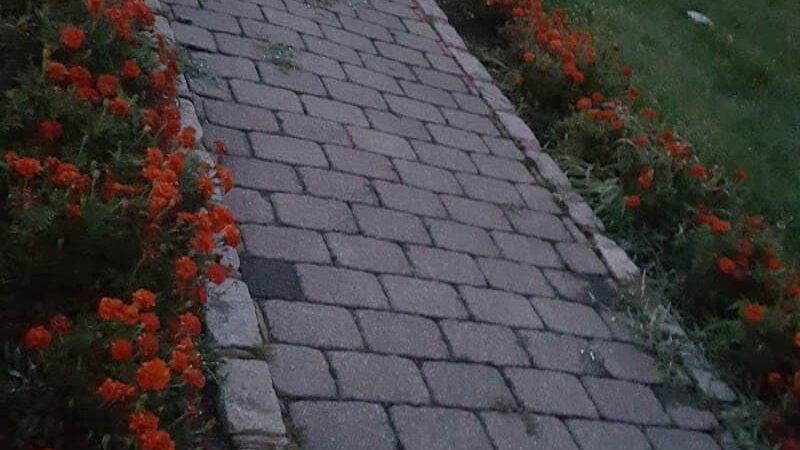 Patriots' Park - Manhasset, NY