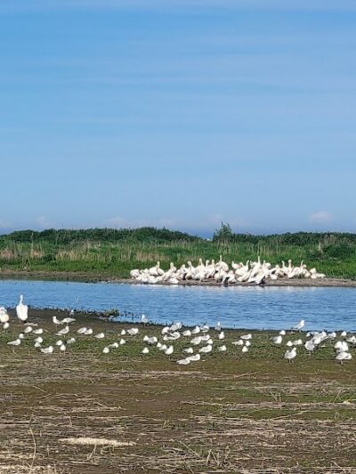 Manitowoc City Paws & Play Dog Park - Manitowoc, WI