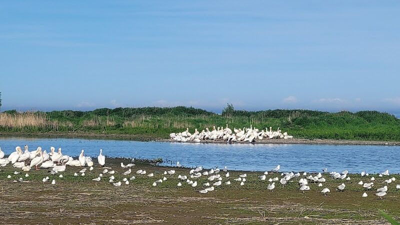 Manitowoc City Paws & Play Dog Park - Manitowoc, WI