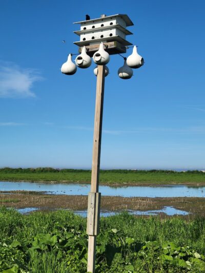 Manitowoc City Paws & Play Dog Park - Manitowoc, WI