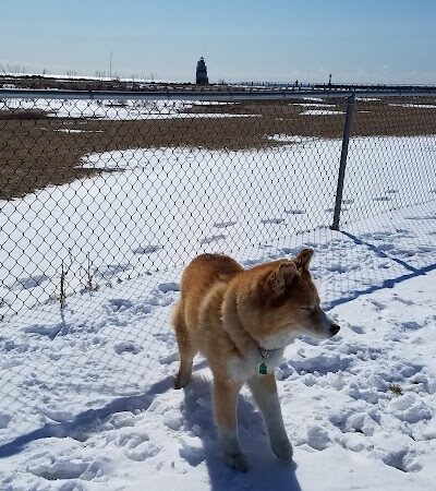 Manitowoc City Paws & Play Dog Park - Manitowoc, WI