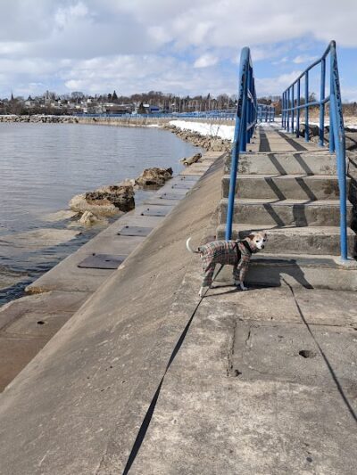Manitowoc City Paws & Play Dog Park - Manitowoc, WI