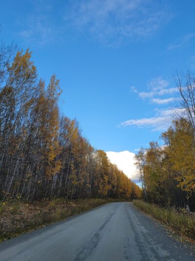 Manley Hot Springs - Manley Hot Springs, AK