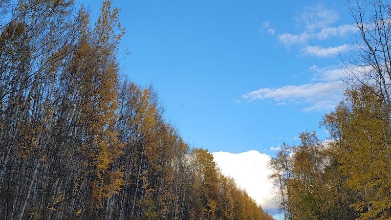 Manley Hot Springs - Manley Hot Springs, AK