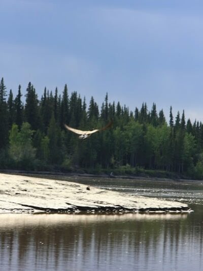Manley Hot Springs - Manley Hot Springs, AK