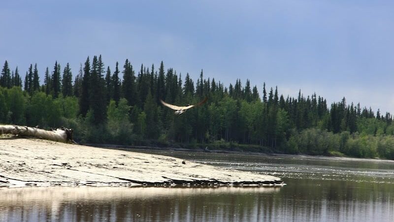 Manley Hot Springs - Manley Hot Springs, AK