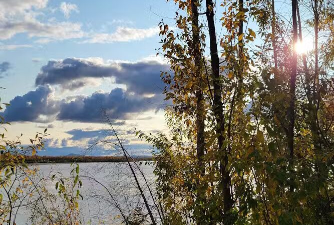 Manley Hot Springs - Manley Hot Springs, AK