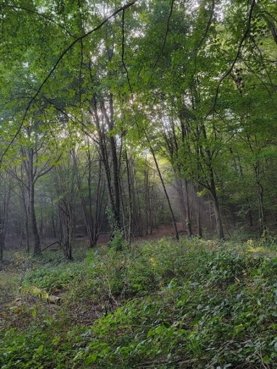 Mansfield Hollow Lake Recreation Area - Mansfield Center, CT