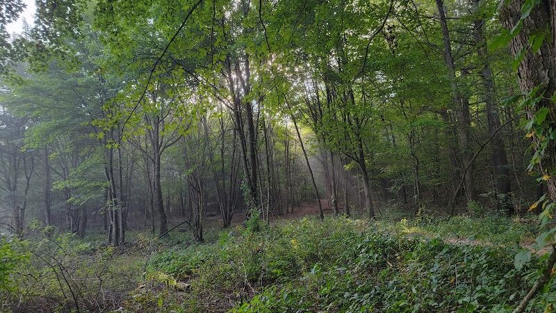 Mansfield Hollow Lake Recreation Area - Mansfield Center, CT