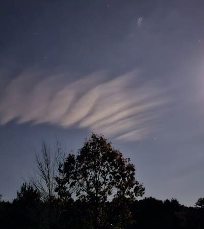 Mansfield Hollow Lake Recreation Area - Mansfield Center, CT