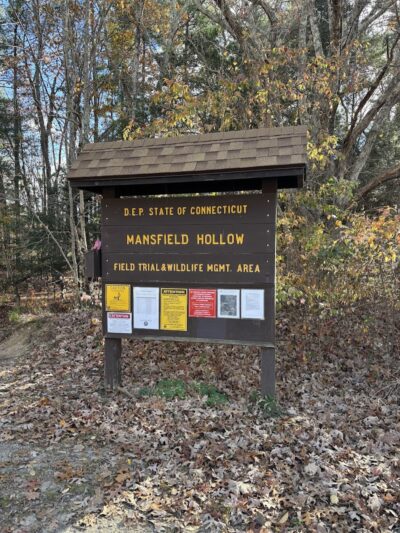 Mansfield Hollow State Park - Mansfield Center, CT