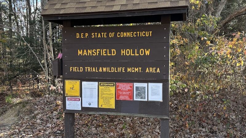 Mansfield Hollow State Park - Mansfield Center, CT