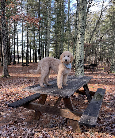 Mansfield Hollow State Park - Mansfield Center, CT