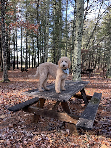 Mansfield Hollow State Park - Mansfield Center, CT