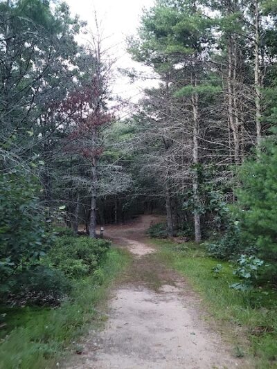 Mansfield Hollow State Park - Mansfield Center, CT