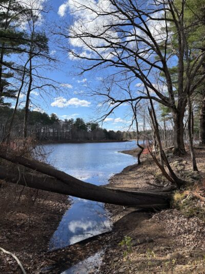 Mansfield Hollow State Park - Mansfield Center, CT