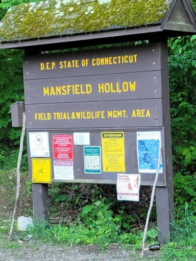 Mansfield Hollow State Park - Mansfield Center, CT