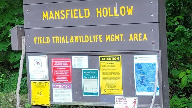 Mansfield Hollow State Park - Mansfield Center, CT