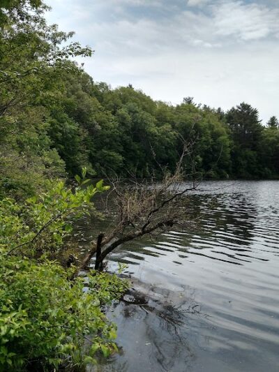 Mansfield Hollow State Park - Mansfield Center, CT