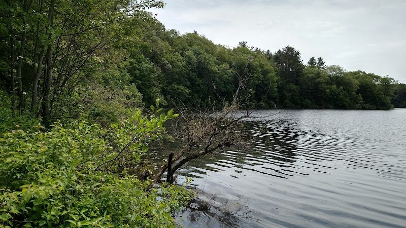 Mansfield Hollow State Park - Mansfield Center, CT